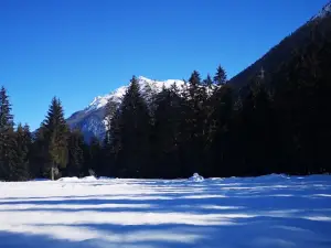 Eisweg Engadin