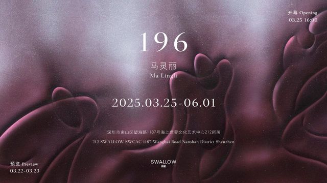 馬靈麗個展《196》 | 深圳