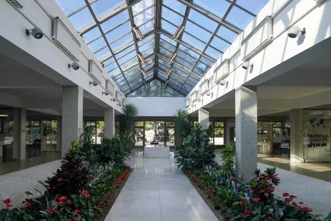 House of Flowers