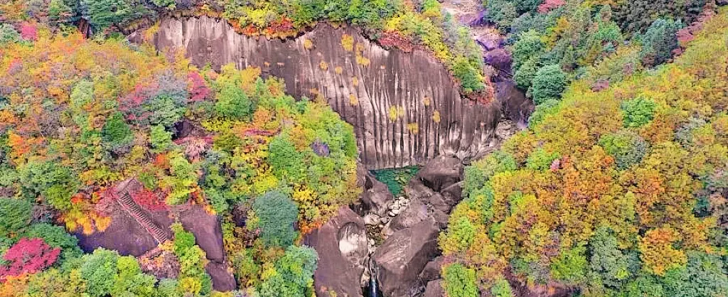 Fall Viewing Attractions