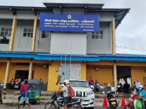 尼甘布中心魚市場