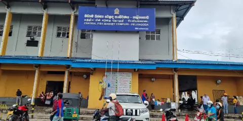 尼甘布中心魚市場