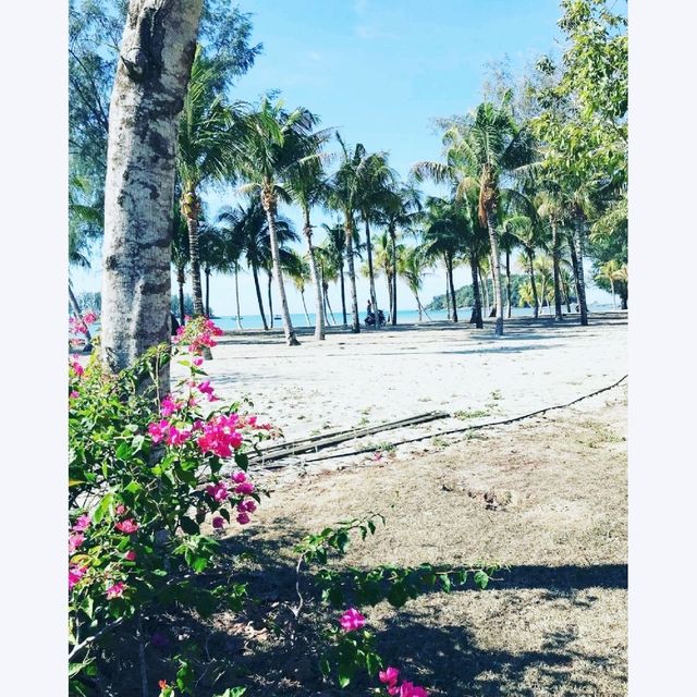 Pantai Kok 