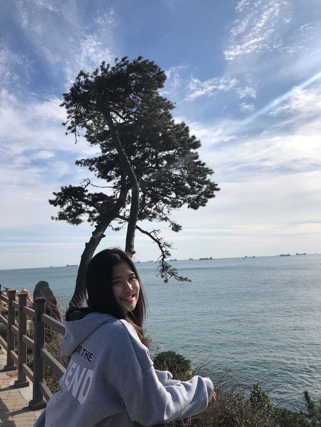 울산 바다뷰는 여기!