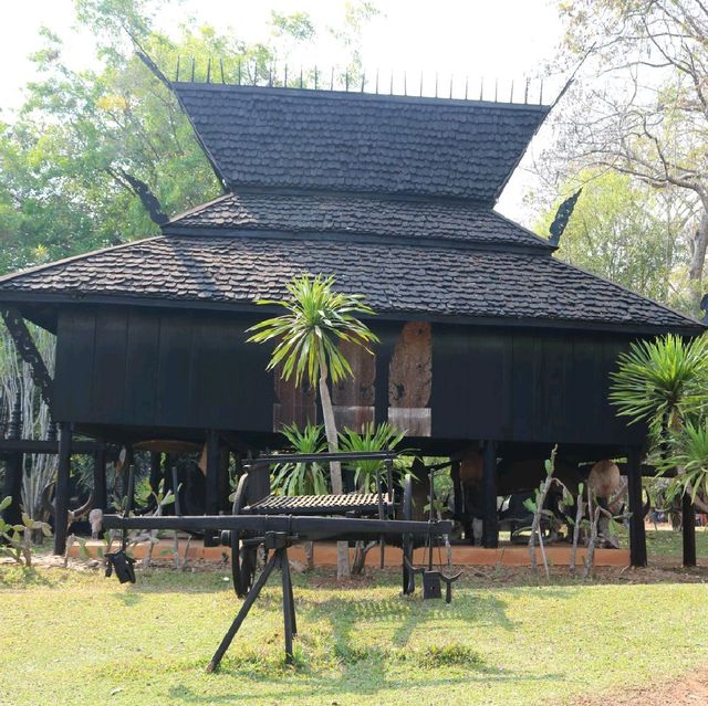 Black is beautiful in Baan Dam Museum