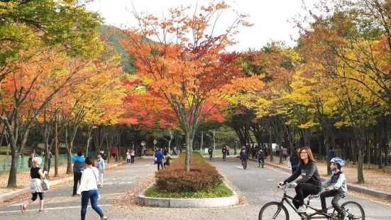 Incheon Grand Park is an urban