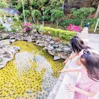 《假日親子好去處》康寧道公園