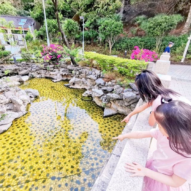 《假日親子好去處》康寧道公園
