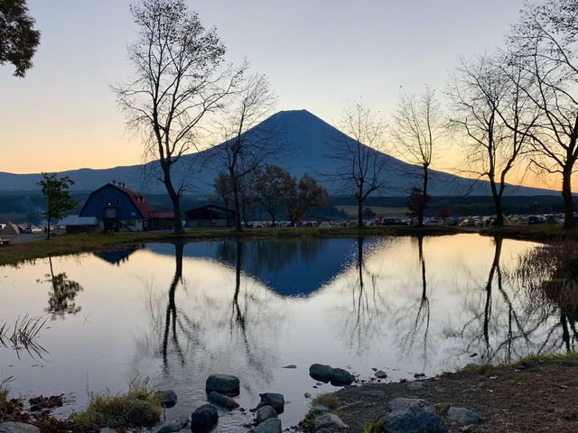 【静岡】ふもとっぱらキャンプ場