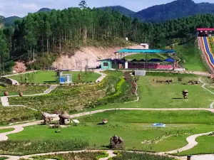 Gula Rice Field Art