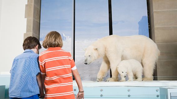 Museum Koenig Bonn