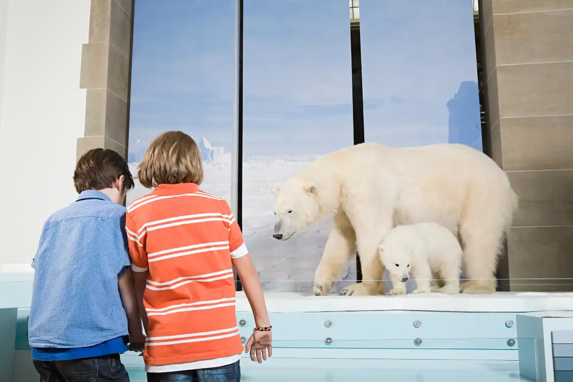 Hotels near Museum Koenig Bonn