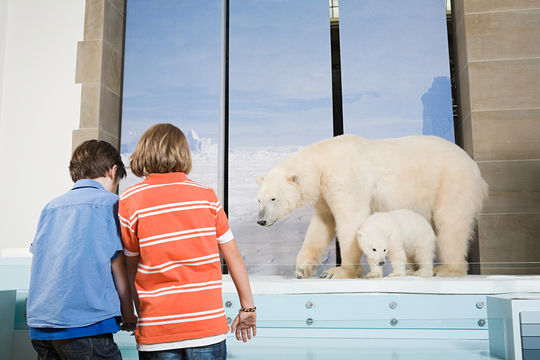 Museum Koenig Bonn