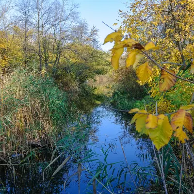 Для бизнес-поездок Отели в г. Бенгбу