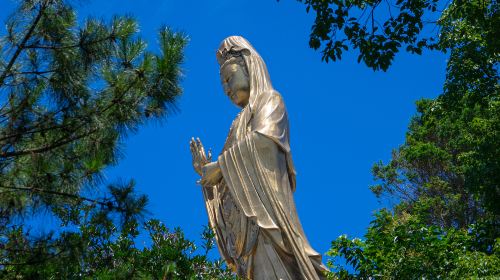 Guanyin Wanghai