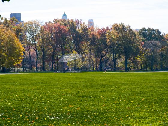 The Green Park