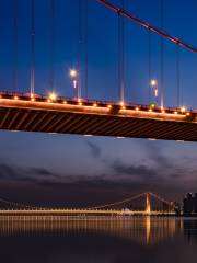 Yangsigang Yangtze River Bridge