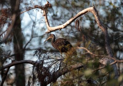 Great Otway National Park