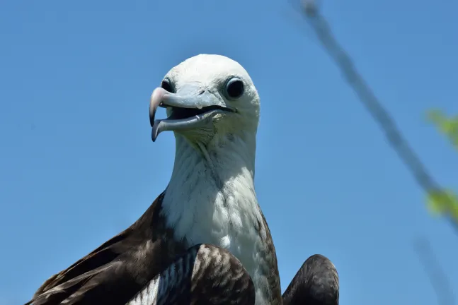 ゼネラル・ルナのペット同伴可ホテル