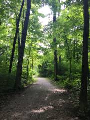 Inwood Hill Park