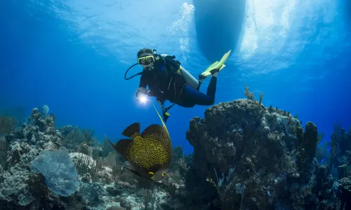 Scuba Diving in Phu Quoc Island