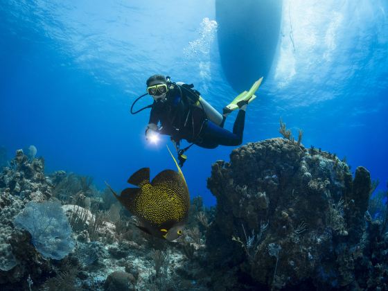 Mun Island Diving Tour