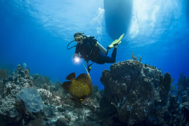Diving in Nha Trang