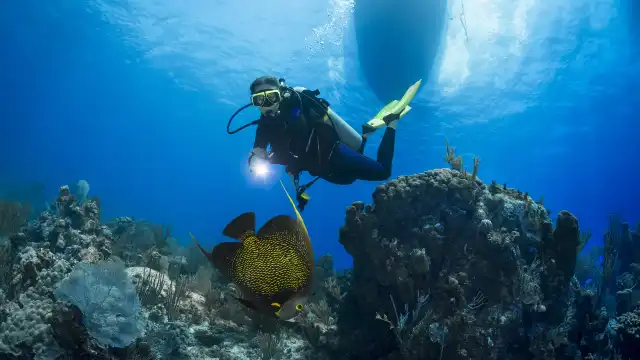 Snorkeling or Scuba Diving in Nha Trang