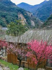 Jiufeng Mountain