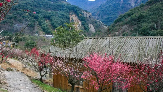 Jiufeng Mountain