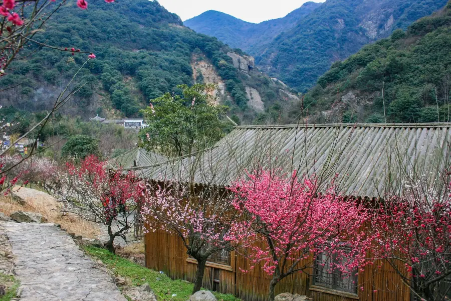 Jiufeng Mountain