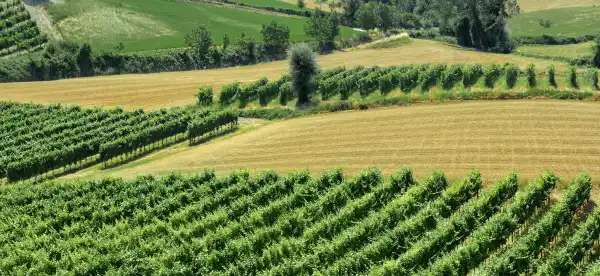 Hôtels à : Pavie