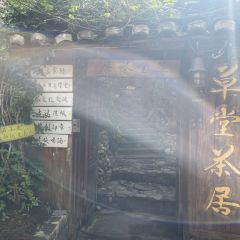CAO TANG CHA JU User Photo