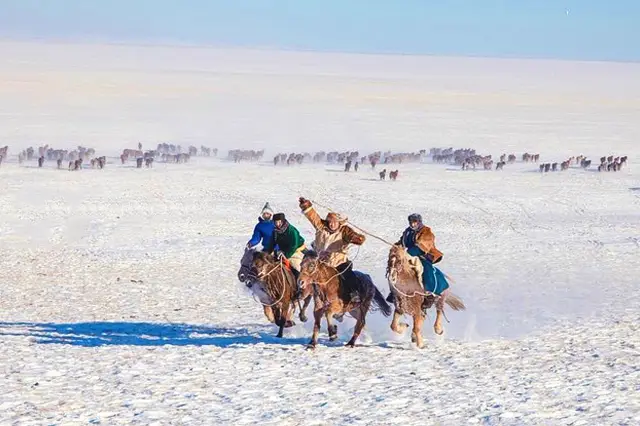 Hulunbuir Equestrian Show
