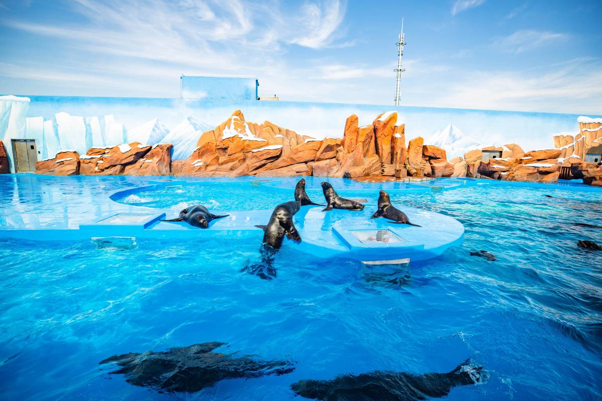 Shanghai Haichang Ocean Park