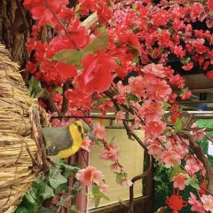 大树餐馆 User Photo