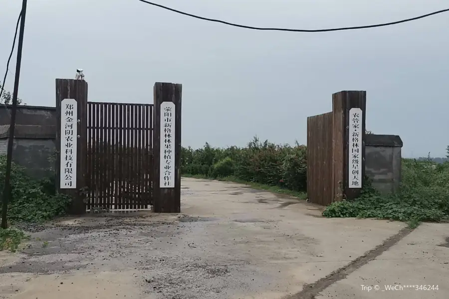 Xingelin Nongye Ecological Park (shiliu)