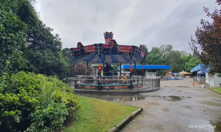 Yangpu Park Amusement Park