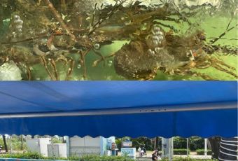 XIAO HAI TUN LIAN SUO HAI XIAN CANTING User Photo