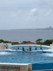 たま水族館