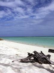 Heron Island