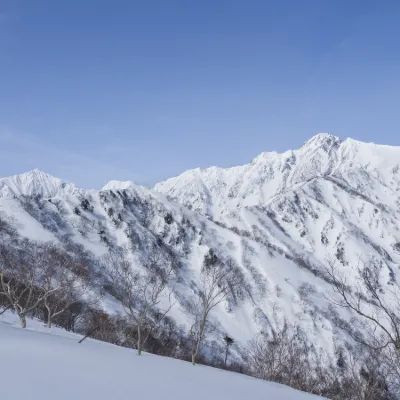 마츠모토 니가타 비행기