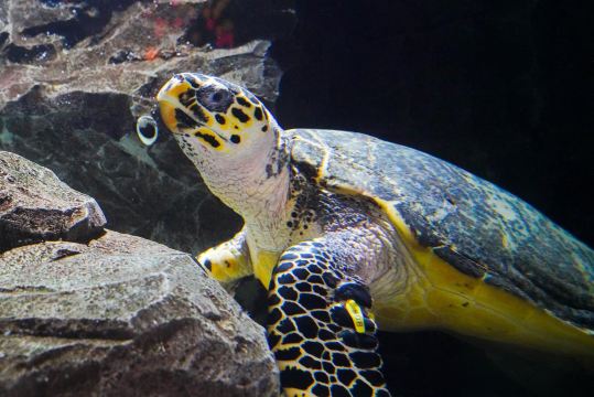 Daegu Aquarium