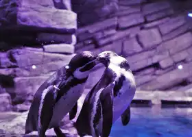 普吉Aquaria海洋水族館