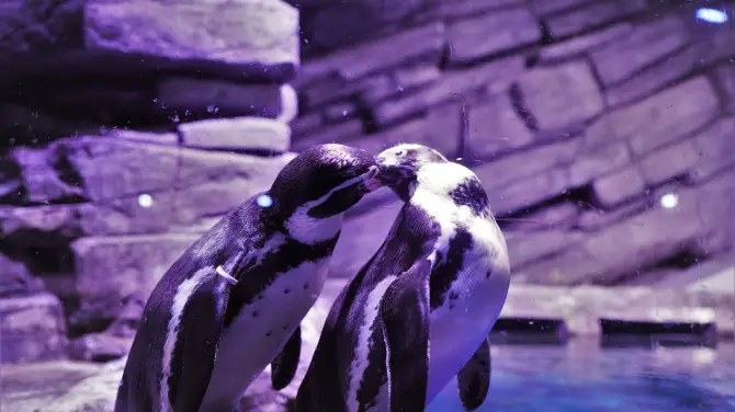 2_Aquaria Phuket