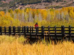 Popular Best Things to Do in Yanyuan