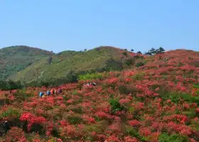 Huopu Shili Dujuan Scenic Area