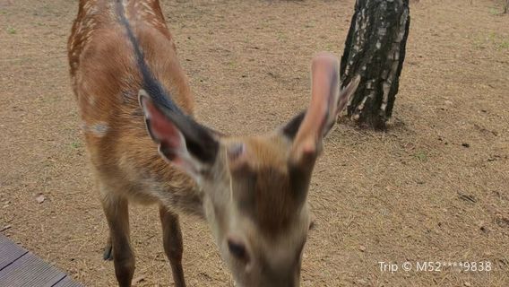 yang lu guan shan yuan