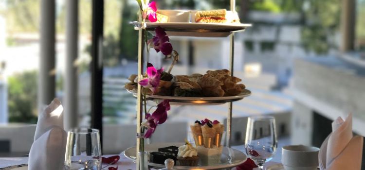 Garden Tea at The Getty Villa
