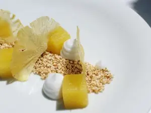 Origano Cibo e Vino